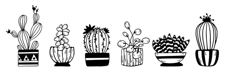 Set of linear sketches of cacti, succulents in flower pots. Doodles of indoor flowers. Vector graphics.