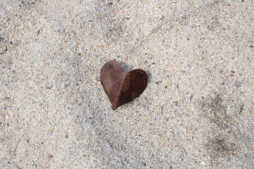 Heart shape leaf on sandy beach. love, summer, beach minimal concept. 