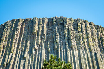 Devils Tower National Monument, Wyoming, USA,  Detailed columns at the top of the geologic...