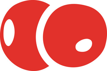 two red christmas berries