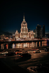 Obraz premium Dog Moscow Night