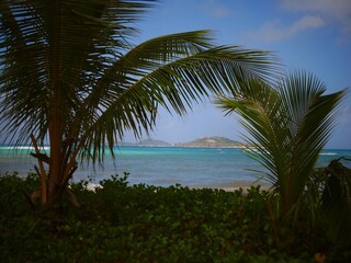 Fototapeta na wymiar Seychelles - Praslin Island - Anse Kerlan Beach