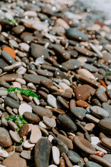 sea wet pebbles close-up in sunlight. Close-up of colorful pebbles on the sea beach in the sun. background photo of stones