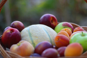 Vintage basket full of seasonal fruit in the garden. Selective focus.