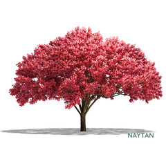 tree with flowers red color 
