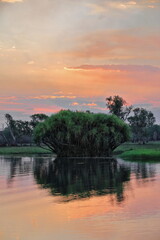 Red sundown over Yellow Water-Nugurrungurrudjba Billabong with pandanus tree. Kakadu-Australia-171