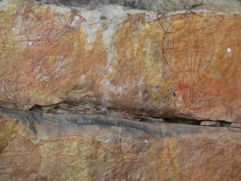 Aboriginal rock art: group of long neck turtles-barramundis-mullet fishes. Ubirr-Kakadu-Australia-180