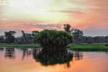 Red sundown over Yellow Water-Nugurrungurrudjba Billabong with pandanus tree. Kakadu-Australia-170