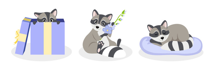 Vector illustration of a cute and beautiful raccoon on white background. Charming characters in different poses hide in gift boxes, sit with flowers, sleep on pillows in cartoon style.