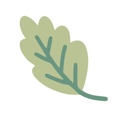 Vector autumn leaf isolated. Hand drawn flat leaf isolated