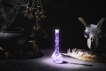 Witchcraft or alchemistry altar. Goats skull, flask with glowing plasma, falcon feather, dry herbs,...