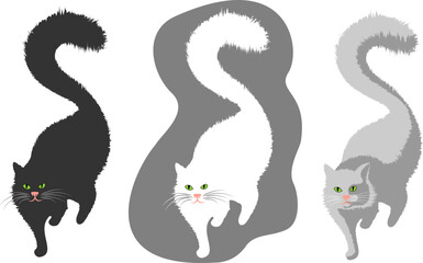 Cute realistic cat walking black, white and gray color.