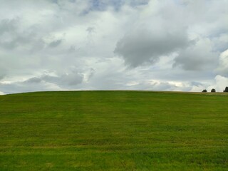 field and blue sky