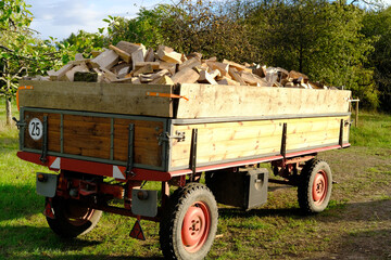 full tractor trailer of firewood chopped on logs, logging for winter, concept stoking stove,...
