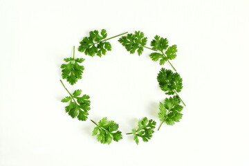 fresh coriander green leaves frame isolated in white background,top view copy space