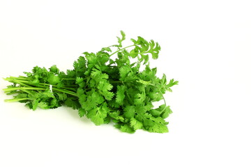 fresh coriander green leaves bunch isolated in white background, copy space