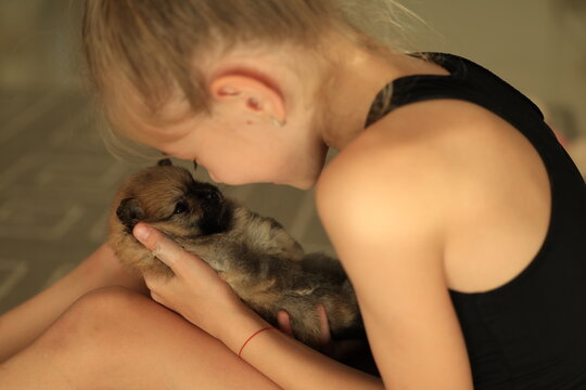 Small puppy looking up while girl holding cute dog.The little puppy is cute sitting in the arms of the girl. Newborn puppy
