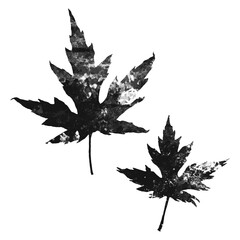 Halftone maple leaves. Autumn season spot vector illustration - 531150758