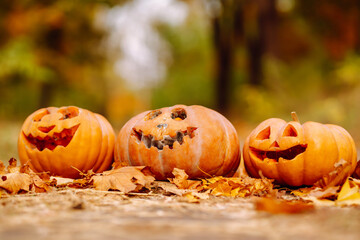 Set of orange pumpkins for halloween. Holidays, decoration concept.