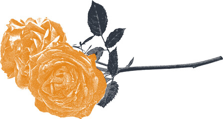 isolated bohemian orange roses flower screen print