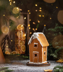 Christmas background with young christmas tree and gingerbread house