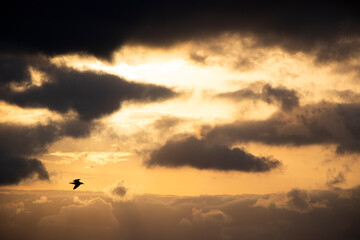 Dramatic sky, Sunset and Dark Clouds and fantastic sky