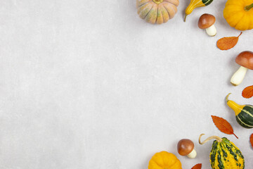 Fall flat lay with colorful pumpkins, mushrooms and fallen leaves on gray concrete background. Autumn mockup with decoration. Top view. Copy space.