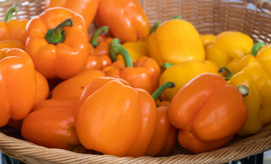 Close up of yellow and orange fresh peppers in a basket at the market