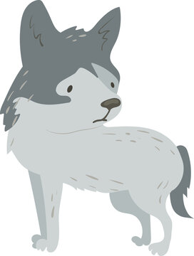 Little baby wolf in cartoon style. Cute forest animal illustration. Good as print card sticker for kids accessories