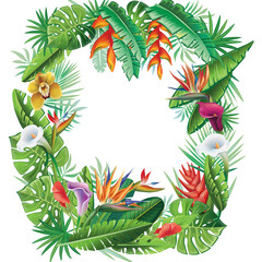 Frame from tropical plants and flowers