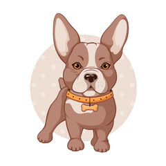 Cute french bulldog in orange collar. Vector image in brown tones. Cartoon character illustration