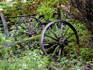 abandoned old wagon wheels left in the weeds to rot
