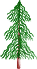Spruce Tree Watercolor
