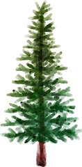 Pine Tree Watercolor Clip Art
