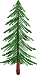 Pine Tree Watercolor Clip Art
