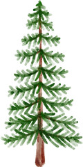 Watercolor Pine Tree Clip Art

