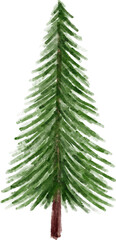Obraz premium Watercolor Pine Tree Clip Art 