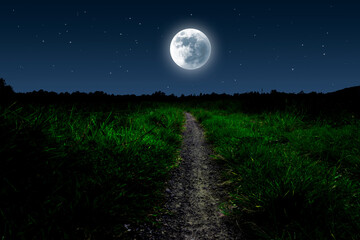 Fototapeta na wymiar Full moon over grassland with footpath.