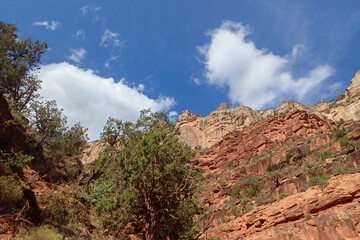 Rock formations at Grand Canyon National Park, Arizona, USA