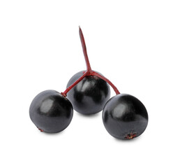 Delicious ripe black elderberries isolated on white