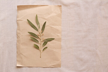 Sheet of paper with dried green leaves on white fabric, top view. Space for text