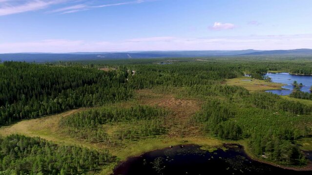 Beautiful scenic panoramic view of the Swedish forests, mountains and the shoreline of a lake. Piece of deforestation and reforestation of pine trees. Blue sky and a few clouds