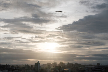 Fototapeta na wymiar 厚い雲に覆われた東の空から太陽が姿を表し。高層ビルがシルエットで浮かび上がる。早朝神戸市内より芦屋大阪方面を臨む。