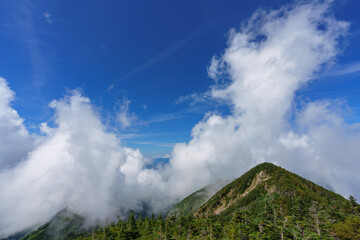 八ヶ岳の天狗岳　夏山登山　長野