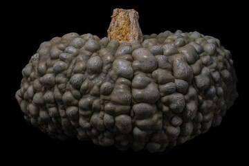 Fresh pumpkin isolated on a black background