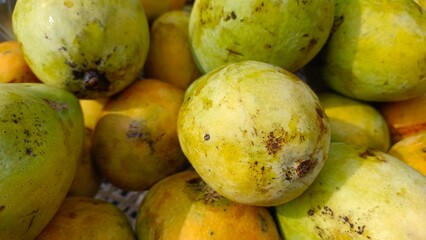 Gedong mango is green, bright orange and the texture of the flesh is soft