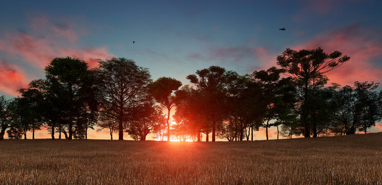 Beautiful landscape image with trees silhouette at sunset. 3d rendering