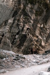 Yosemite National Park California