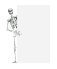 A skeleton standing casually and holding a sign on a white background .may use as halloween background
