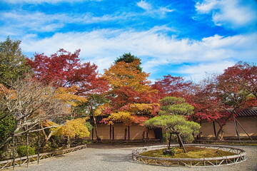 秋、日本のお寺の境内は紅葉で赤く染まります
